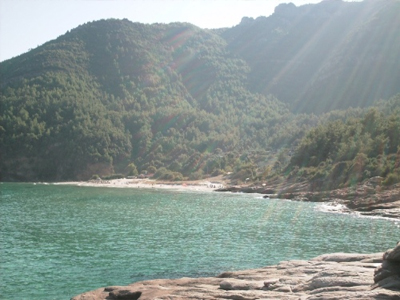 Έκανε βουτιά και έμεινε παράλυτος