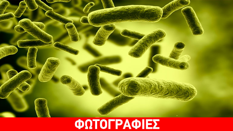 Το θανατηφόρο βακτήριο Ecoli εντοπίστηκε στο νερό της Ηγουμενίτσας