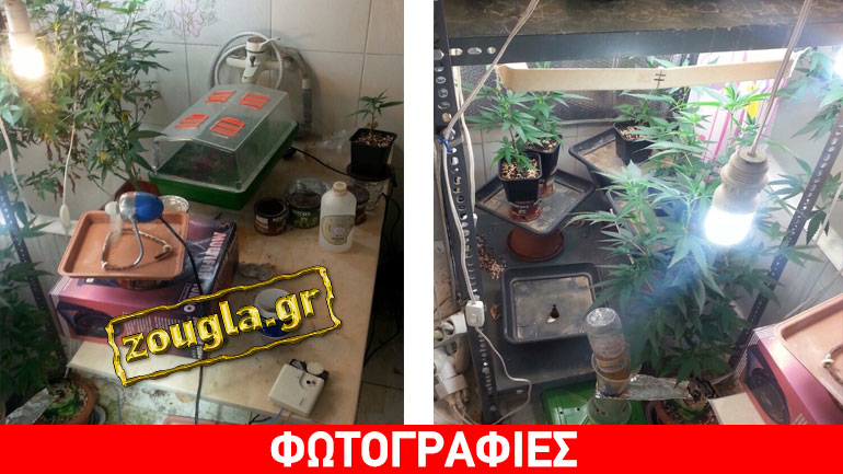 Κορυδαλλός: Υπόγειο-άνδρο παρανομίας εντόπισε η ΔΙΑΣ Πειραιά