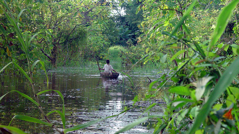 Η Νορβηγία επιβραβεύει τη Βραζιλία με ένα δισ. δολάρια για τη διατήρηση των δέντρων του Αμαζονίου