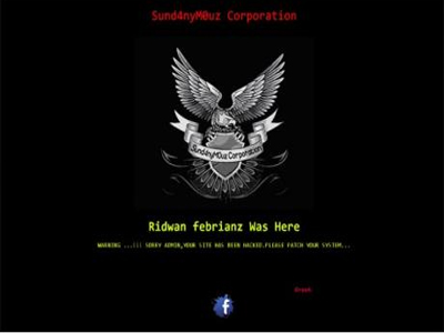 Χάκερς επιτέθηκαν στην ιστοσελίδα της Ρένας Δούρου