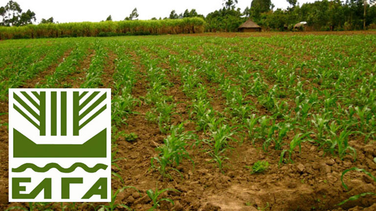 Αποζημιώσεις σε χιλιάδες παραγωγούς καταβάλει ο ΕΛΓΑ