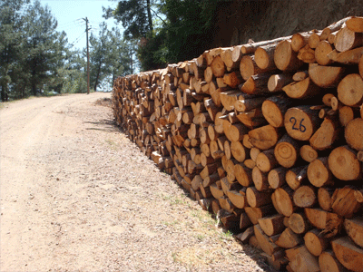 Ελάχιστα τα καυσόξυλα για τους κατοίκους της Ξάνθης