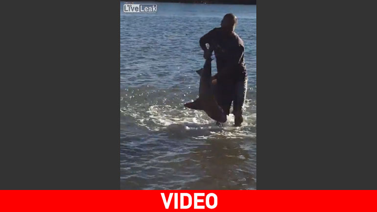 Έπιασε τον καρχαρία… με τα χέρια