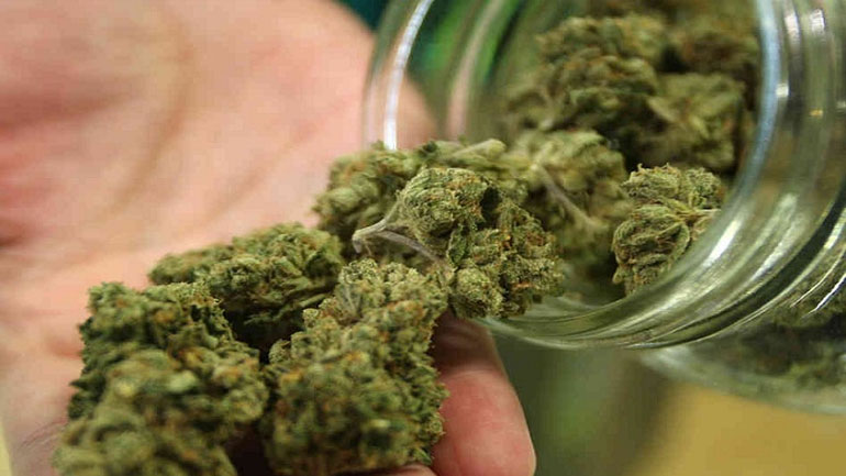 Η Κροατία επέτρεψε τη χρήση μαριχουάνας για ιατρικούς λόγους