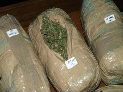 Αλβανία: Κατάσχεσαν 32 κιλά ινδικής κάνναβης