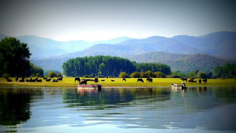 Σέρρες: Σε οριακό σημείο η στάθμη της Κερκίνης
