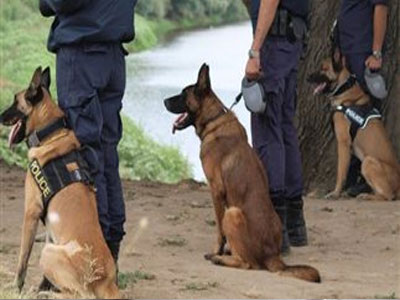 Συνέλαβαν διακινητή μεταναστών