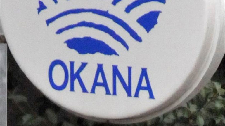 Yπόθεση Άννυ: Συνελήφθη η «μαϊμού» ψυχολόγος του ΟΚΑΝΑ