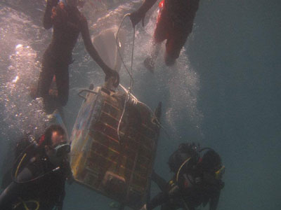 Επιχείρηση «καθαρισμός του βυθού» στα λιμάνια Νάξου και Αγίας Άννας