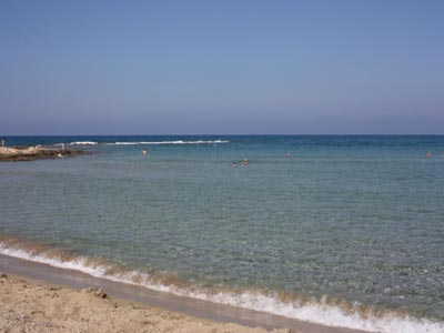 WWF: Η παραλία του Ποταμού δεν είναι για beach party