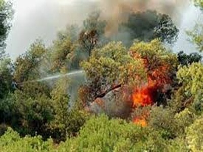 Τραγωδία στον Ωρωπό