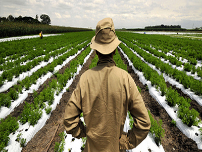 Απασχολούσε παράνομα αλλοδαπούς