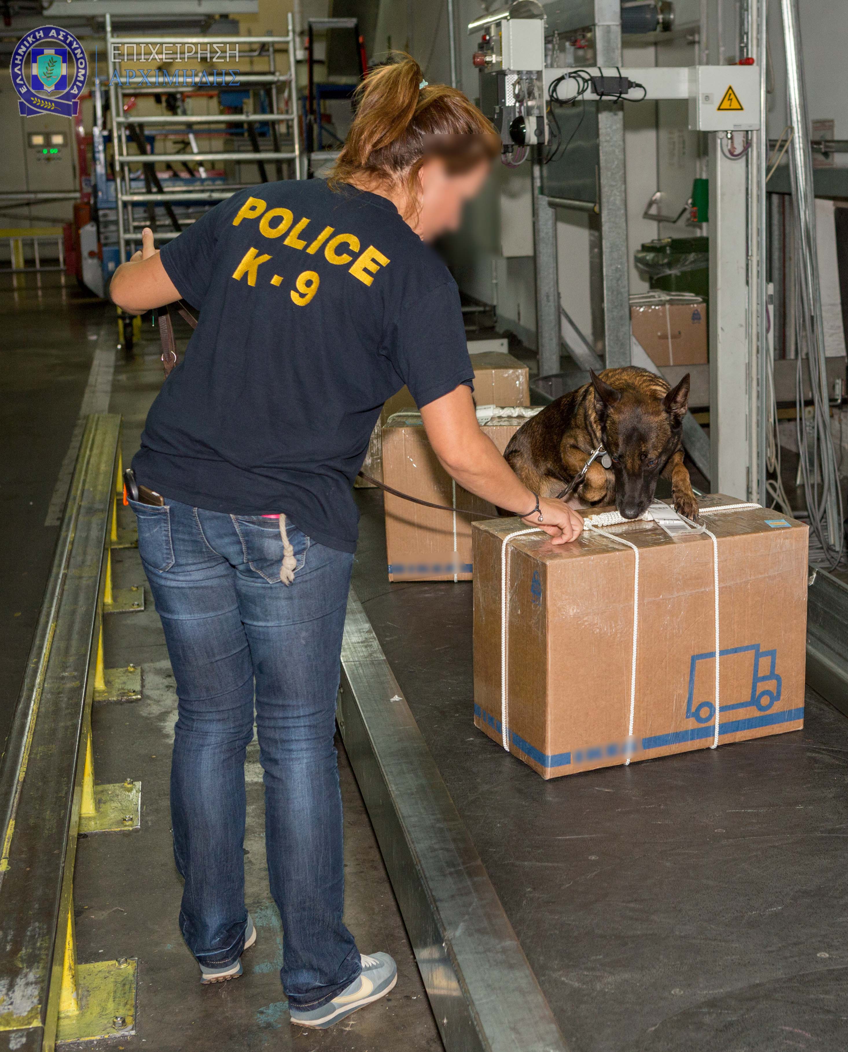 Εκπαιδευμένος σκύλος μυρίζει τις συσκευασίες