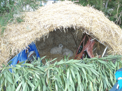 Χριστουγεννιάτικο παζάρι στο 12ο δημοτικό σχολείο Τρικάλων