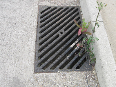 Έκλεβε τις μεταλλικές σχάρες και τις έκρυβε στο χωράφι