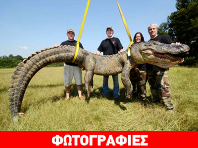 ΗΠΑ: Ο μεγαλύτερος αλιγάτορας αποτελεί παρελθόν