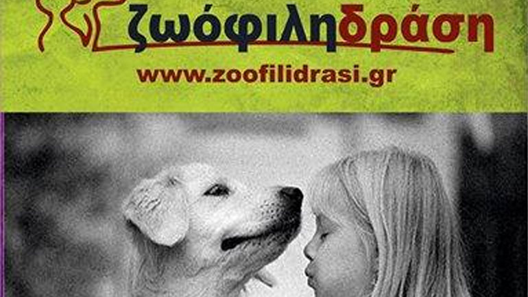 Κρήτη: Γιορτή υιοθεσίας ζώων, το Σαββατοκύριακο