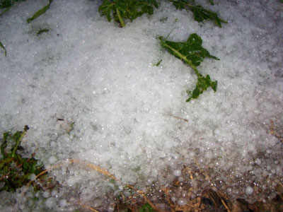 Άργος: Ισχυρή χαλαζόπτωση έπληξε καλλιέργειες