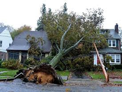 Γυναίκα σκοτώθηκε από πτώση δέντρου στην Αγγλία