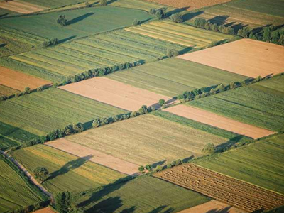 Φορολόγηση με το στρέμμα για τα αγροτεμάχια