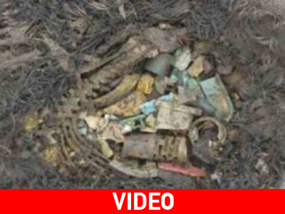 Ο αργός θάνατος των Άλμπατρος Ο αργός θάνατος των Άλμπατρος