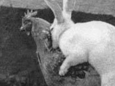 Δείτε πώς γίνονται τα πασχαλινά αυγά