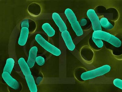 Βιο-μπαταρίες από βακτήρια που γεννούν ηλεκτρικά φορτία