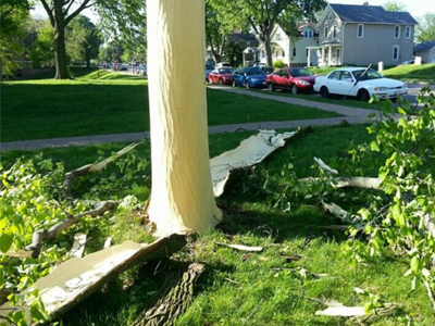 Ο κεραυνός “μεταμόρφωσε” το δέντρο