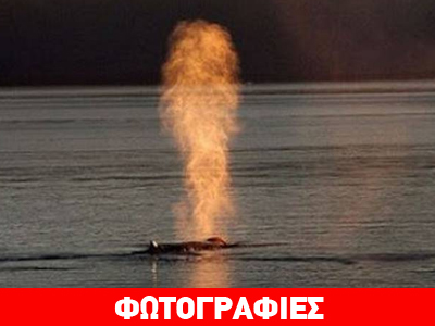 Όταν ο φωτογραφικός φακός συναντά την τέχνη της φύσης