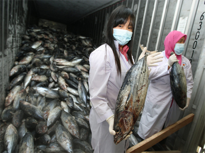 Φουκουσίμα: Ανησυχητικά υψηλά τα επίπεδα μολύβδου των ψαριών