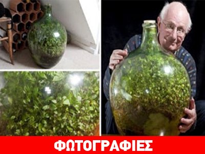 Φυτό ζει και αναπτύσσεται χωρίς νερό και αέρα