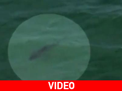 Στα σαγόνια του καρχαρία γνωστός σκηνοθέτης