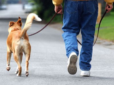 Προστατεύουν την καρδιά τα κατοικίδια