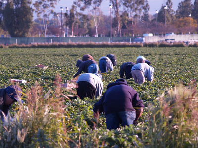 Συμφωνία για αγροτική μεταρρύθμιση στην Κούβα