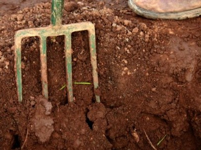 Λέσβος: Σκότωσε και έθαψε στην άμμο τη σύζυγό του