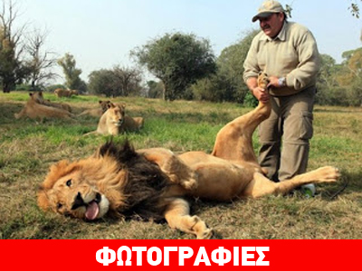 Καλλωπισμός για το βασιλιά της ζούγκλας