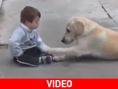 Σκυλάκι σε ρόλο μητέρας για παιδάκι με σύνδρομο Down