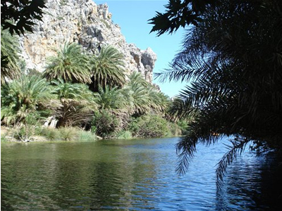 Η πολιτεία ολιγώρησε, η φύση μερίμνησε