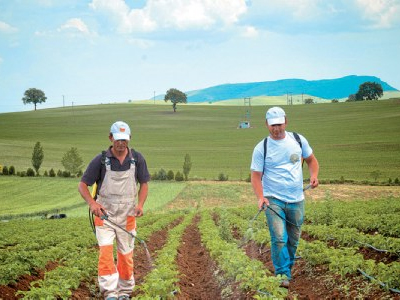Ζιζανιοκτόνο προκαλεί αυτισμό και αλτσχάιμερ Ζιζανιοκτόνο προκαλεί αυτισμό και αλτσχάιμερ