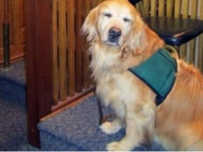 Ν. Υόρκη: Σκυλί βοήθησε 15χρονη να αναγνωρίσει το βιαστή της Ν. Υόρκη: Σκυλί βοήθησε 15χρονη να αναγνωρίσει το βιαστή της