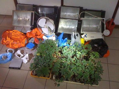 Υδροπονική καλλιέργεια χασίς Υδροπονική καλλιέργεια χασίς