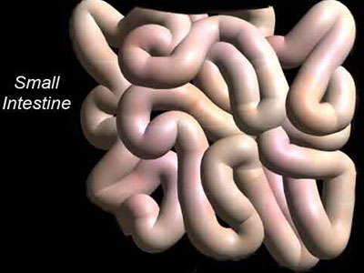 H διατροφική προσαρμογή στη θεραπεία του ευερέθιστου εντέρου