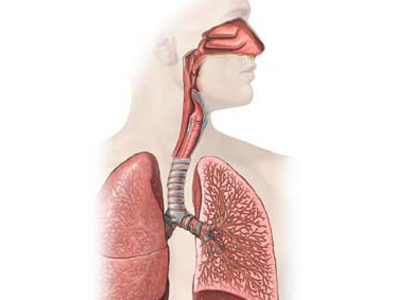 Παχυσαρκία και αναπνευστικές δυσκολίες