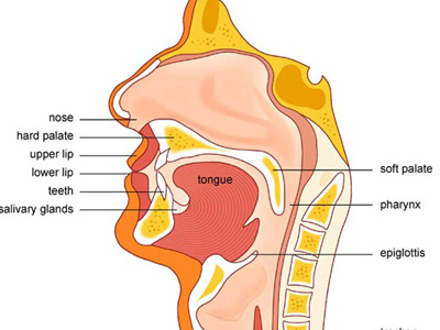 Τι είναι η Γαστροοισοφαγική Παλινδρόμηση και πως θεραπεύεται οριστικά
