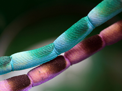 Εναλλακτική μέθοδος δημιουργίας βλαστοκυττάρων