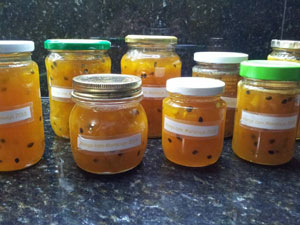 Μαρμελάδα μάνγκο-φρούτο του πάθους στον πρωινό μπουφέ του Μπαμπιλόνια