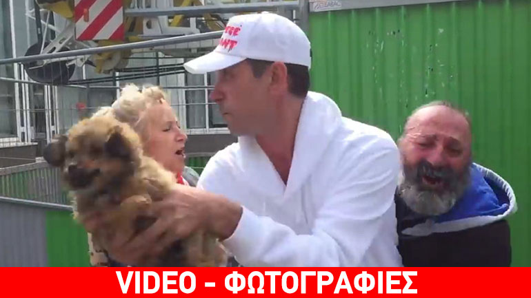 Παρίσι: Σάλος με την αρπαγή σκύλου αστέγου από φιλοζωική οργάνωση