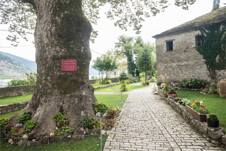 Άποψη του κήπου του μουσείου, όπου δεσπόζει ο 700 ετών πλάτανος