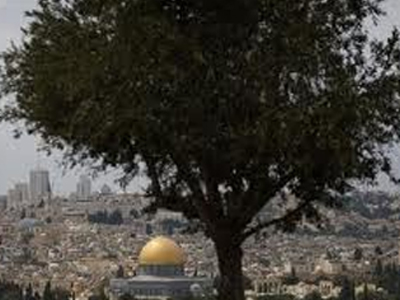 Παράταση του μορατόριουμ εποικισμών εξετάζει το Ισραήλ Παράταση του μορατόριουμ εποικισμών εξετάζει το Ισραήλ